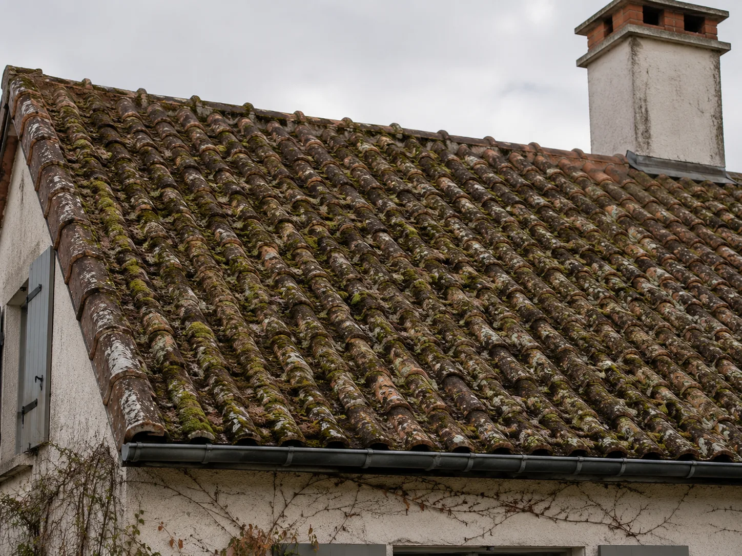 Toiture en tuile canal couverte de mousse épaisse avant intervention
