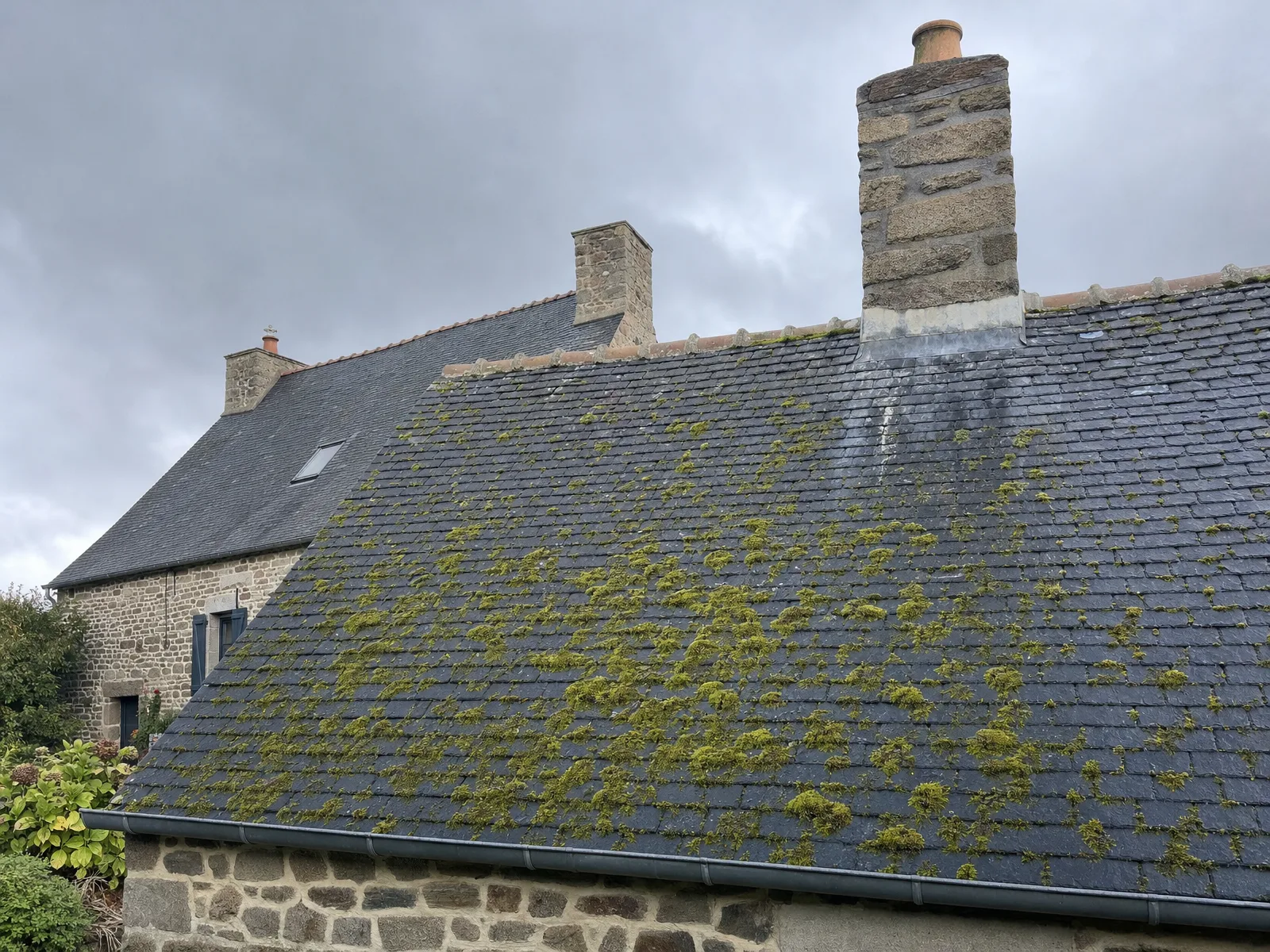 Démoussage de toit en Bretagne : l’ardoise face à l’humidité
