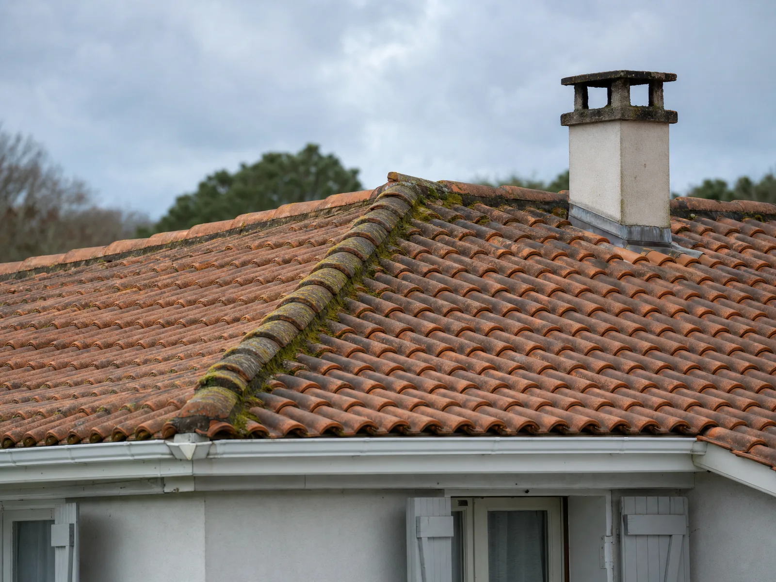 Démoussage de toiture à Bordeaux : humidité de la Garonne et tuile canal