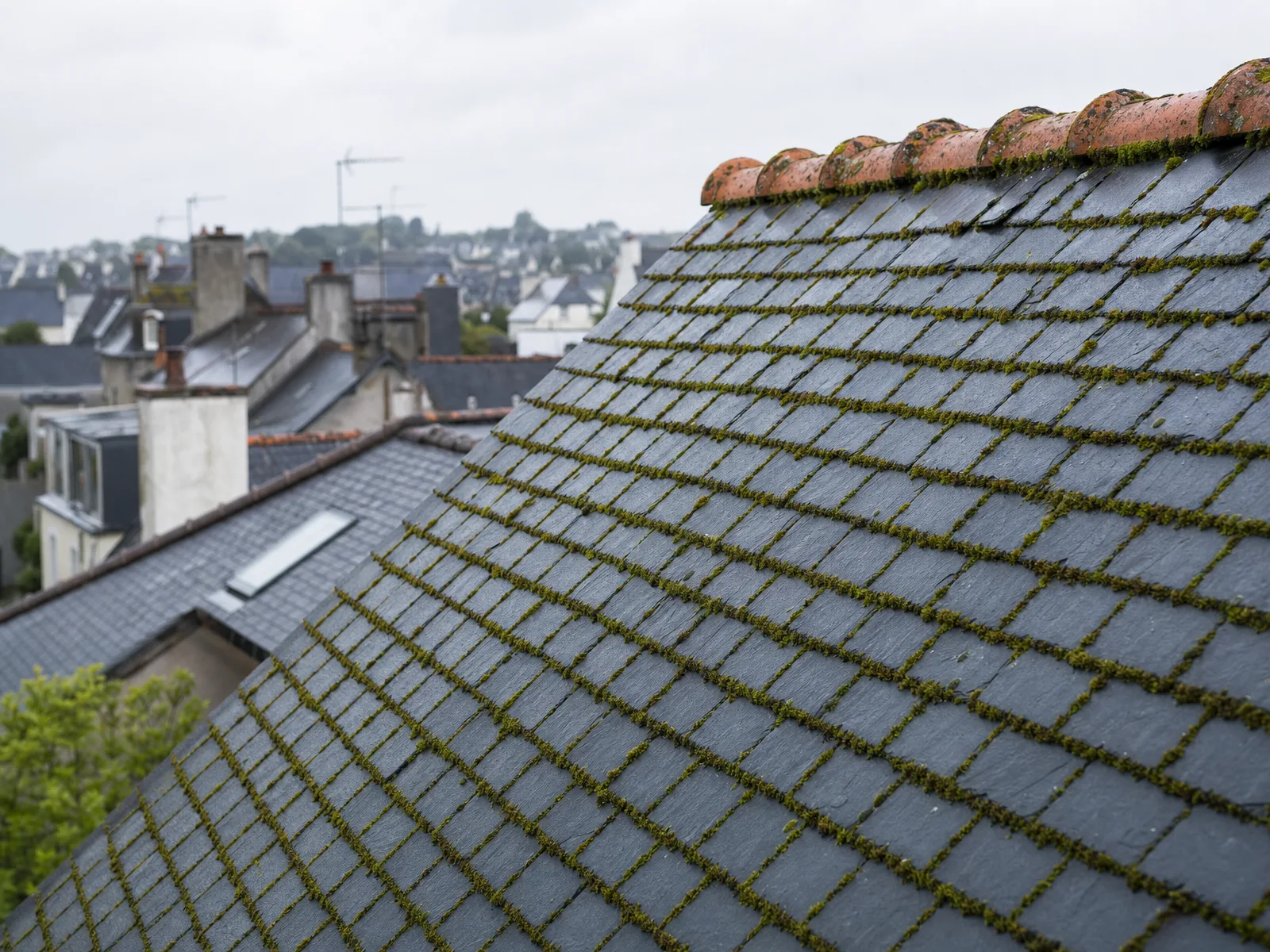Démoussage de toiture à Rennes : ardoise et pluie bretonne
